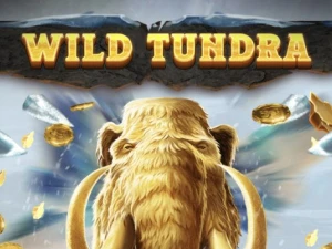 Play Wild Tundra