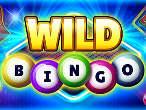 Play Wild Bingo